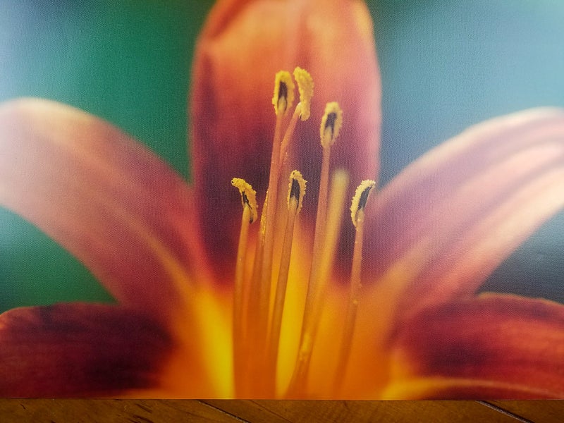 Finestra Art 8" X 10" Premium Faux Glossy Canvas Inkjet Photo Paper - 50 Sheets - Image 1